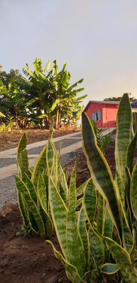Au Coeur Des Plantations Vendégház La Possession Kültér fotó