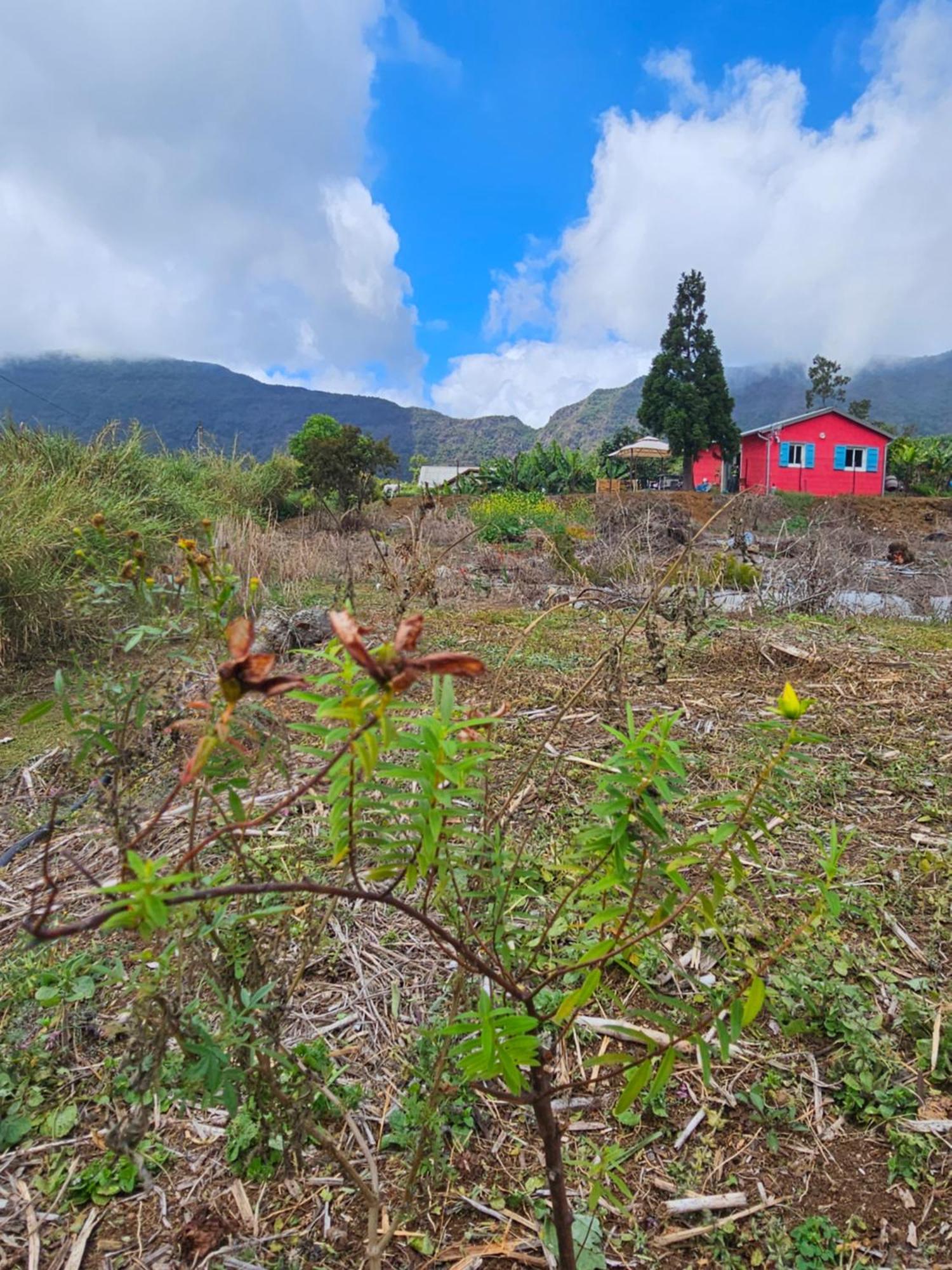 Au Coeur Des Plantations Vendégház La Possession Kültér fotó